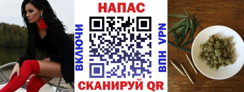 продажа наркотиков  Ноябрьск  MEGA как зайти  Бошки Шишки White Widow 